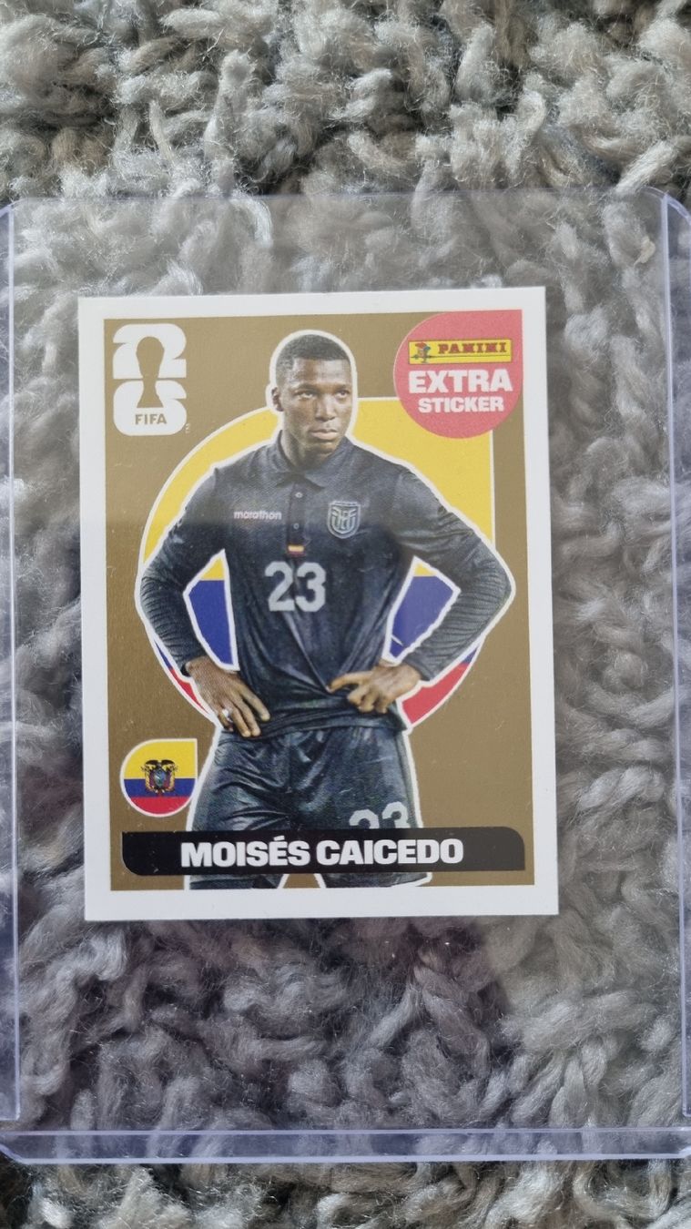 Panini Cartes à collectionner: Panini Extra Sticker – D'occasion à Lausen par pga_6xwg