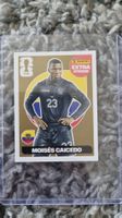 Panini Extra Sticker