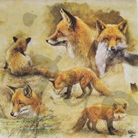 Serviette portraits of foxes (t347) 2Stk.