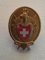 verschraubbarer Pin Abzeichen SAV Schweizer Alpen Verein