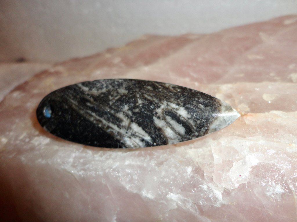 Fossili: Orthoceras Anhänger – Nuovo (secondo la descrizione) da Biberist venduto da tl-schmuck 2