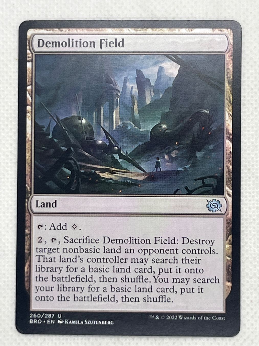 Magic The Gathering Carte collezionabili: Magic: The Gathering - Demolition Field - Selten! – Usato da Hinterkappelen venduto da Kim1992
