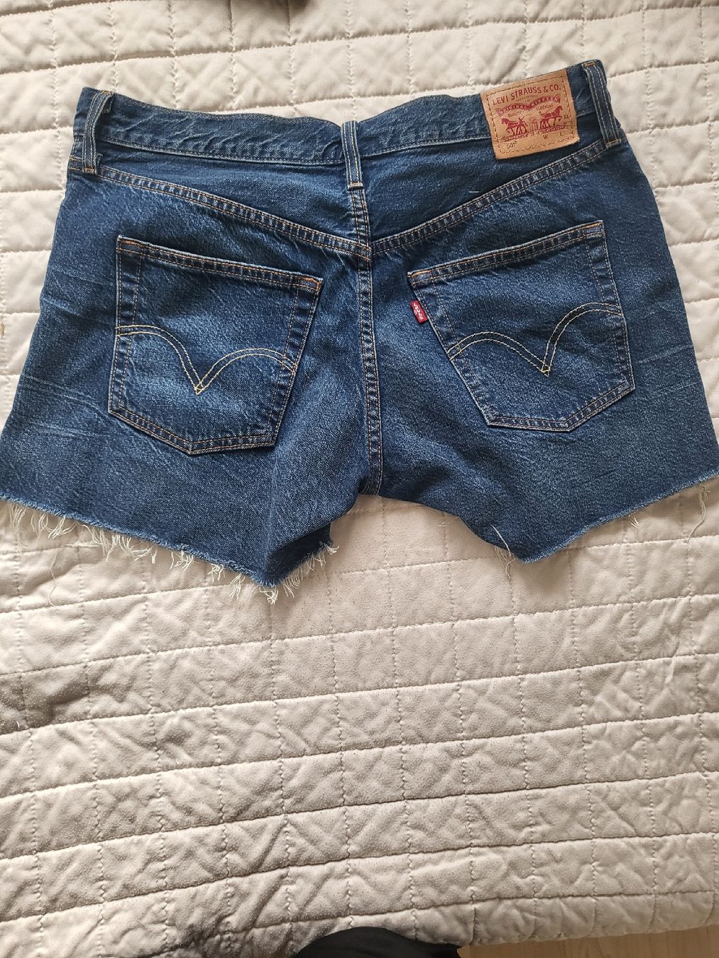 Levi's Jeans: Levi's Premium Denim Shorts, Size 30 – Gebraucht aus Sarmenstorf von zuz_q5kq 1