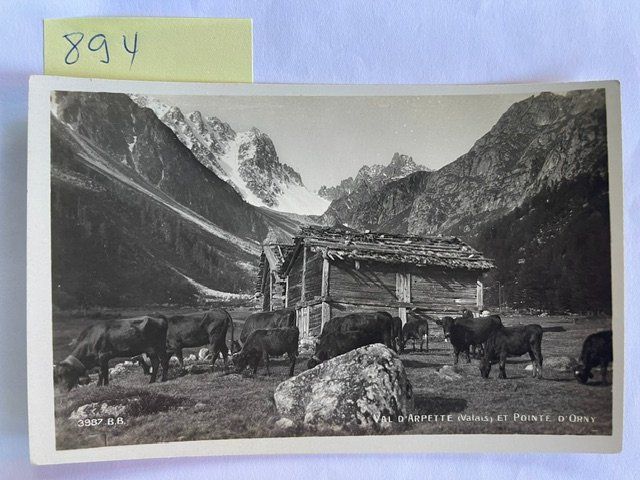 Cartoline postali: alte Ansichtskarte Val d'Arpette Wallis – Usato da Niederwil AG venduto da dahu75