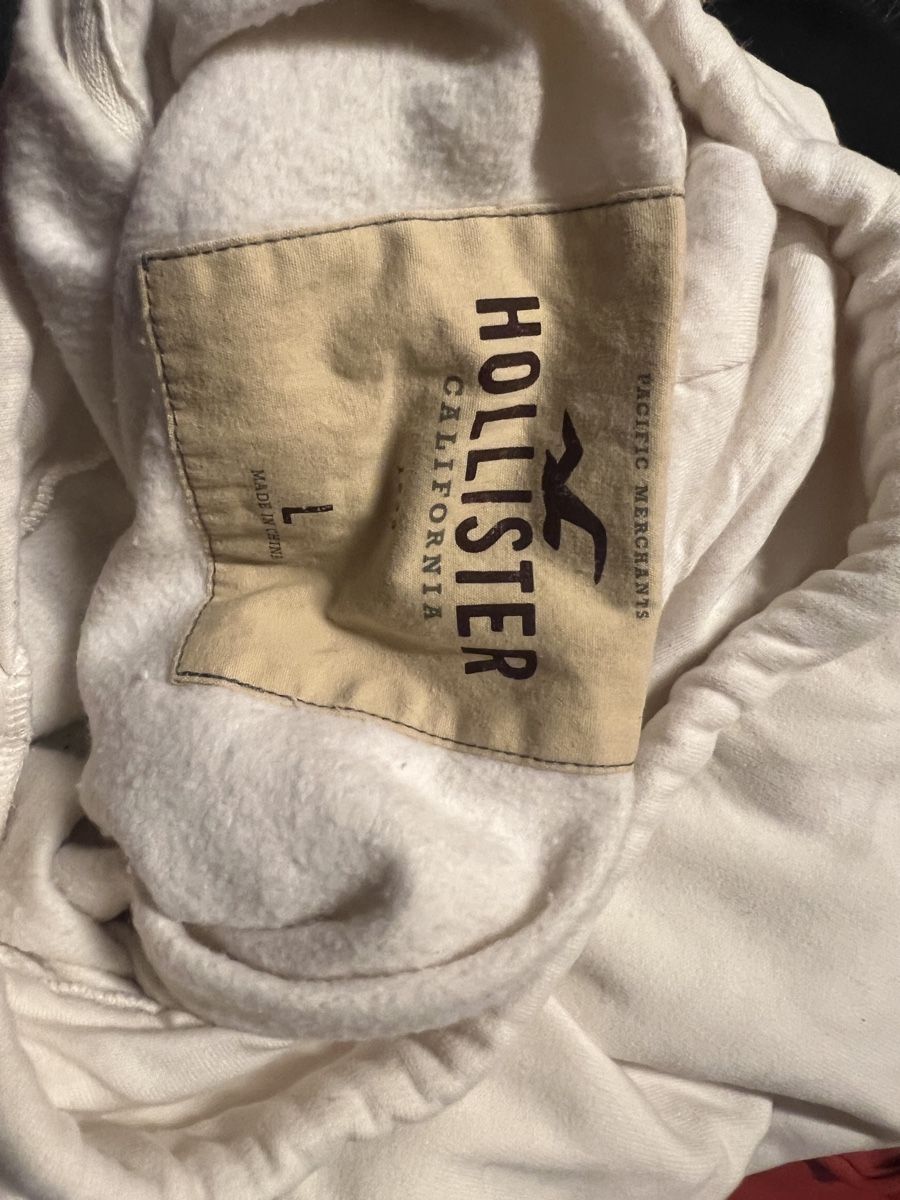 Hollister Maglioni & Felpe: Pullover Mann Gr L Hollister und Auckland – Usato da S.Bernardino venduto da BarettaA 2