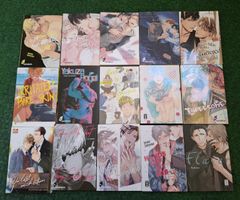 15 x Yaoi/BoysLove Manga / Einzelbände / Deutsch 
