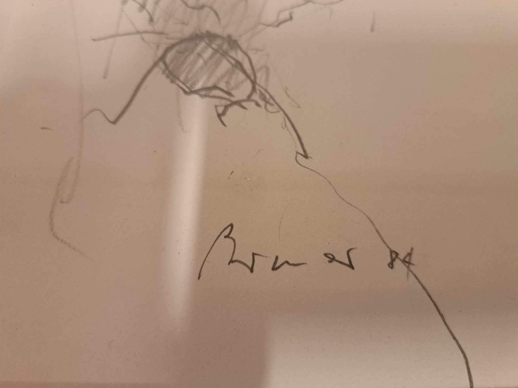 Foto & Immagini: Spezielles Bild Litho – Usato da Belp venduto da deal-now 1