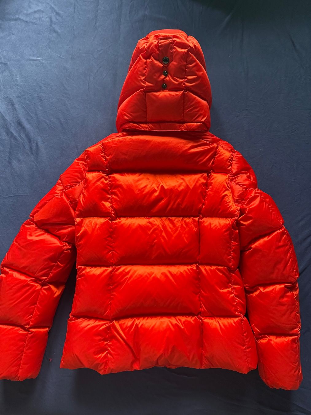 Bogner Giacche: Bogner Daunenjacke rot 36 – Nuovo e nell'imballaggio originale da Altendorf venduto da am9j_nt 4
