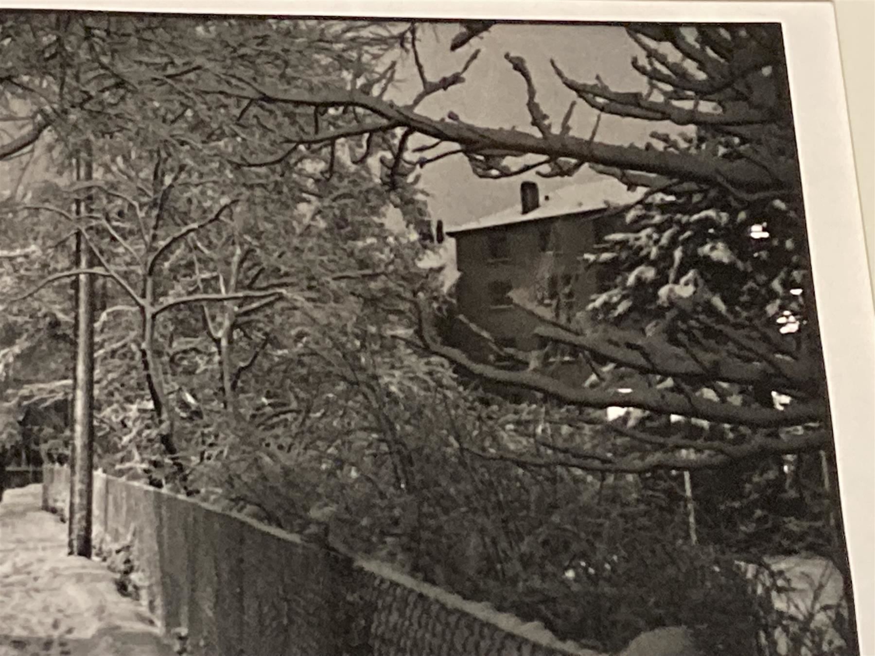 Foto & Immagini: DICKERHOF Mischa Photographie signiert – Usato da Bern venduto da Jwpm66 2