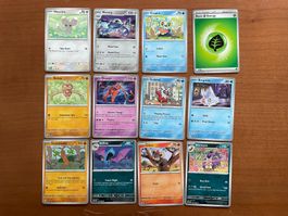 Pokemon 12er Karten Set (Versand gratis)