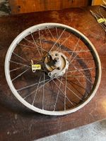 Sachs Mofa Speichen Vorderrad