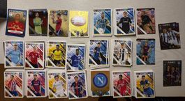 300+ Sammelkarten Panini FIFA 365 von 2019