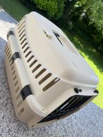 Transportbox kleine Katzen oder Hasen