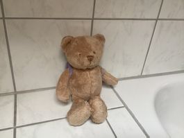 Süsser Teddybär "Oso Explorador" neuwertig