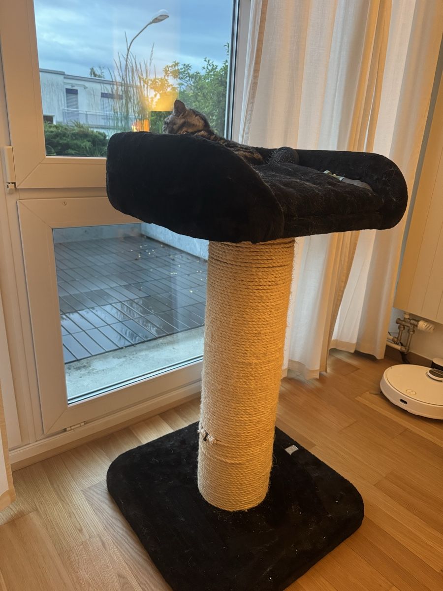 weiches hundefutter Huhn – Getreidefreies Trockenfutter für Hunde mit Süßkartoffel & Kräutern –  kauliebe.com main image 1