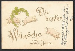 Neujahrskarte mit Schweinen