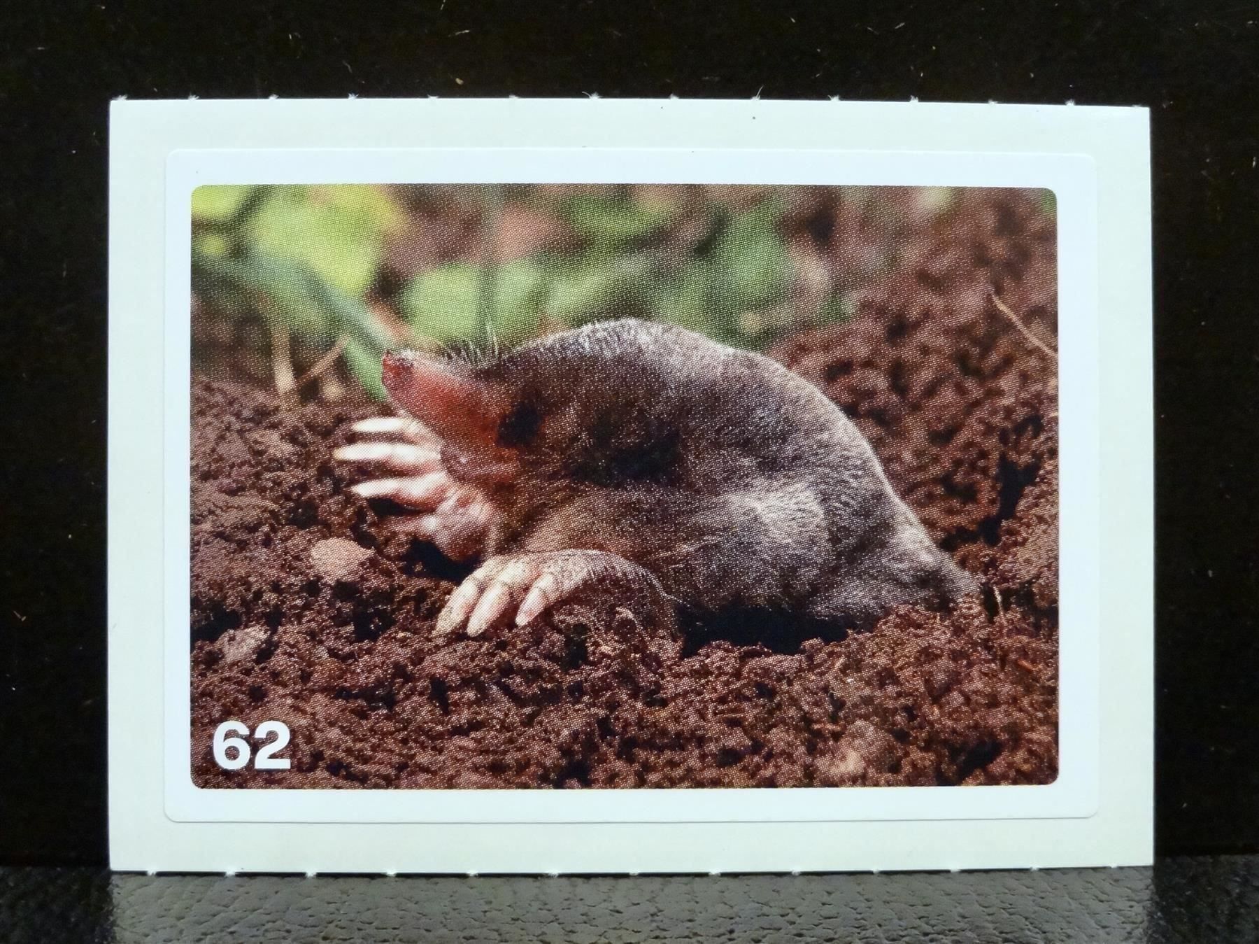Migros Cartes à collectionner: MIGROS MANIA Nature Detectives Nr. 62 – Neuf avec emballage d'origine à Kerzers par zimmergruen