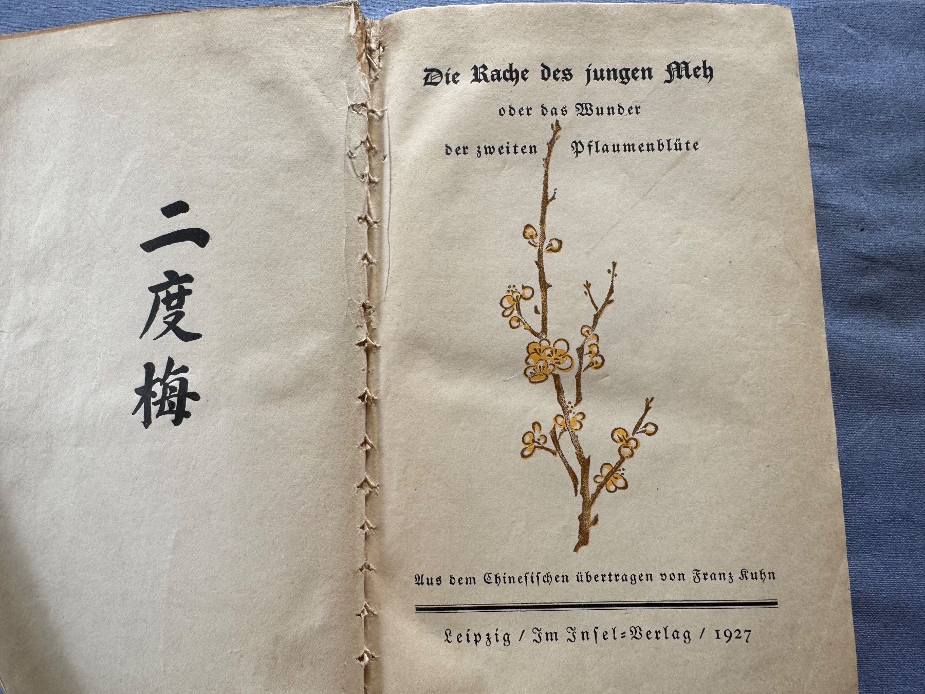 Bücher: erste Ausgabe, DIE RACHE DES JUNGEN MEH,ODER...Leipzig 1927 – Gebraucht aus Zürich von Husopaska 1