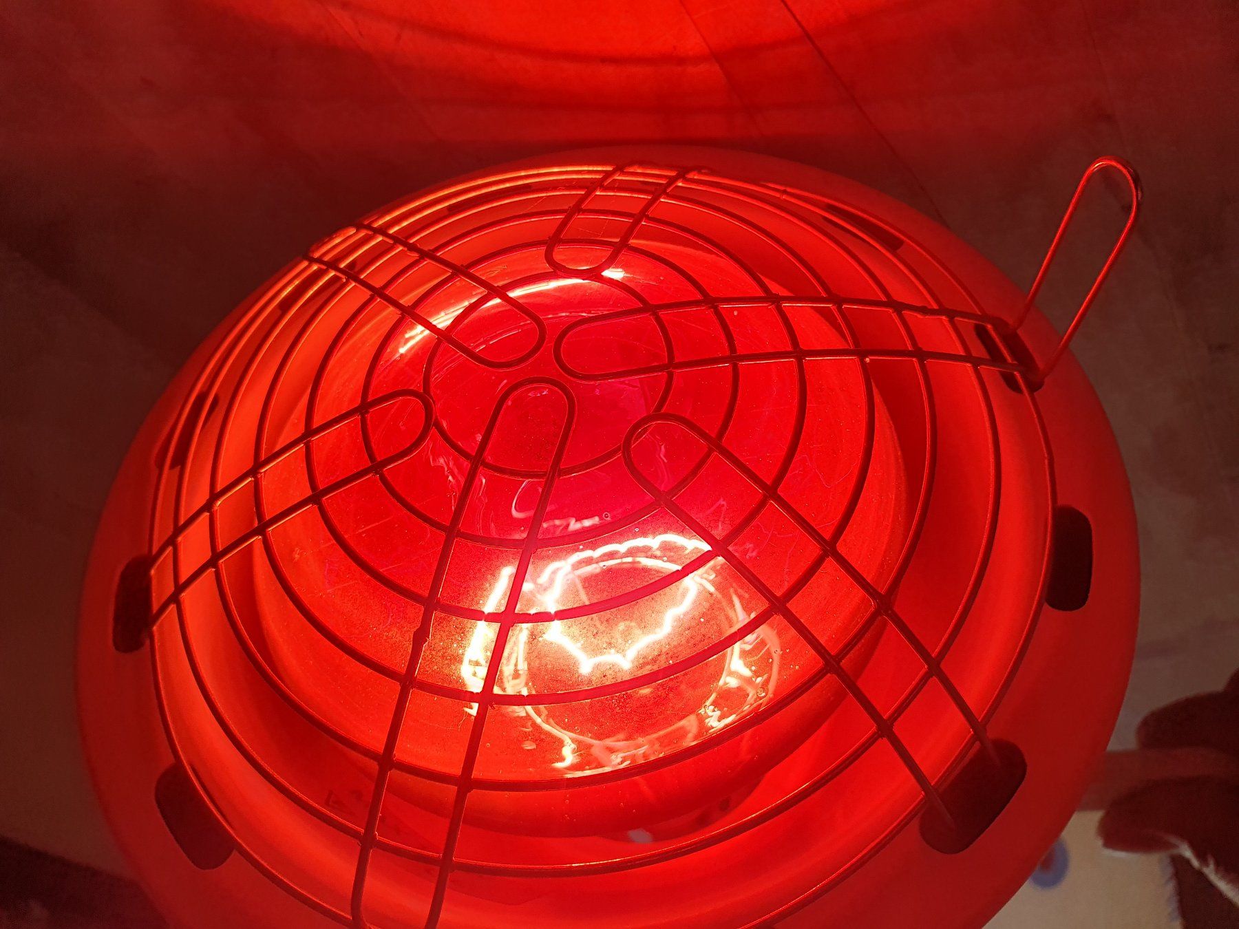 Lampade: Infrarotlampe – Usato da Zürich venduto da loosebone 9