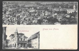Flums Geschäftshaus und Generalansicht Stempel FLUMS