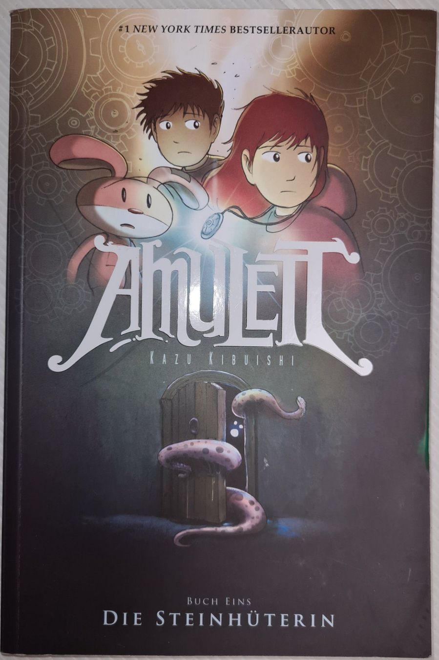 Fumetti: Amulett #1: Die Steinhüterin - Comic – Usato da Münchenstein venduto da vitalfit