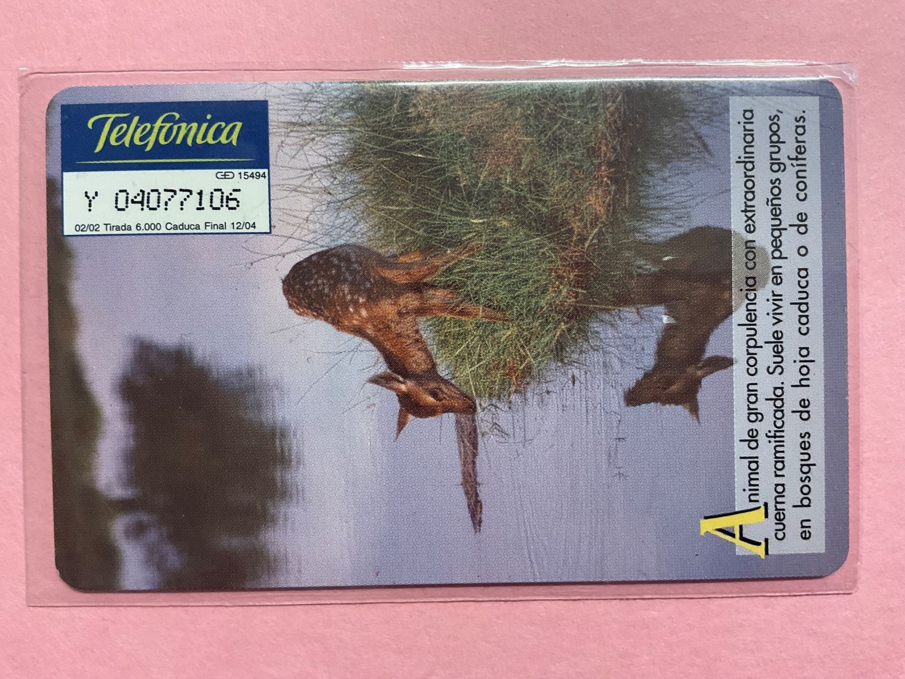 Schede telefoniche: Telefonkarte aus Spanien Hirsch – Usato da Winterthur venduto da Grap75 1