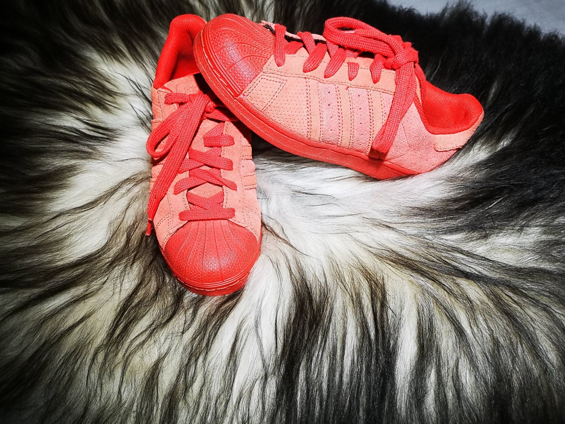 Adidas Chaussures hommes: Adidas Superstar RT – D'occasion à Biberist par zh2se 1