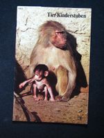 SJW 1403 Willi Dolder Tier-Kinderstuben EA 1977
