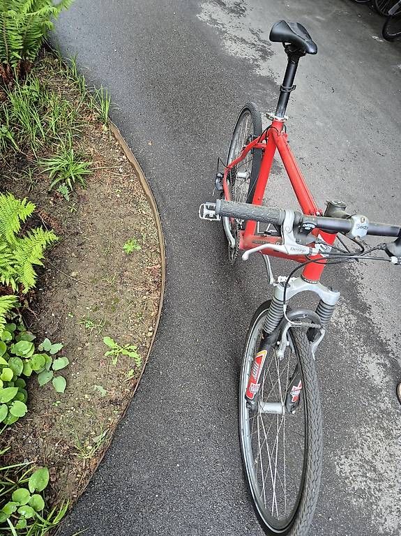 BMC Biciclette: BMC Velo – Usato da Bern venduto da Zoralina