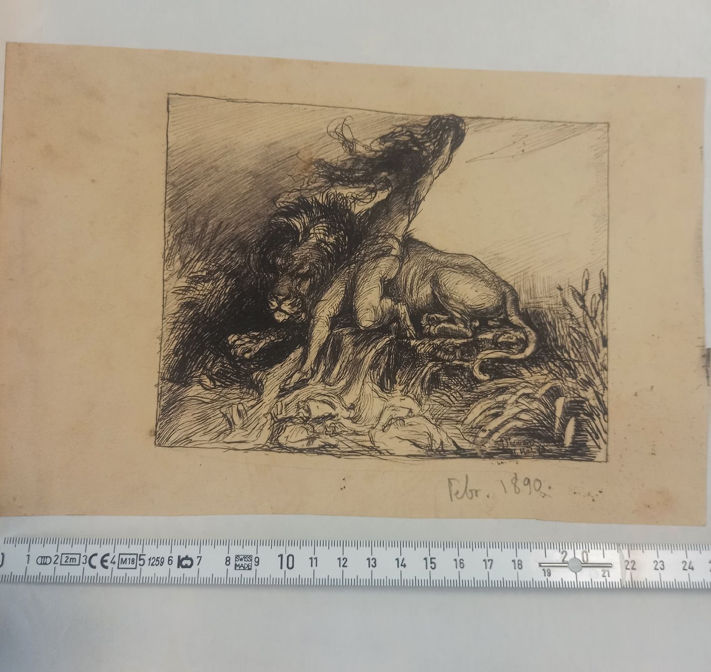 Dipinti: Dipinto inchiostro J.Thomann 1890 – Usato da Minusio venduto da epp_cty9 1