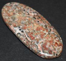 Cabochon L-8281 – Leopardenhaut Jaspis 44X19mm 35.40 Karat