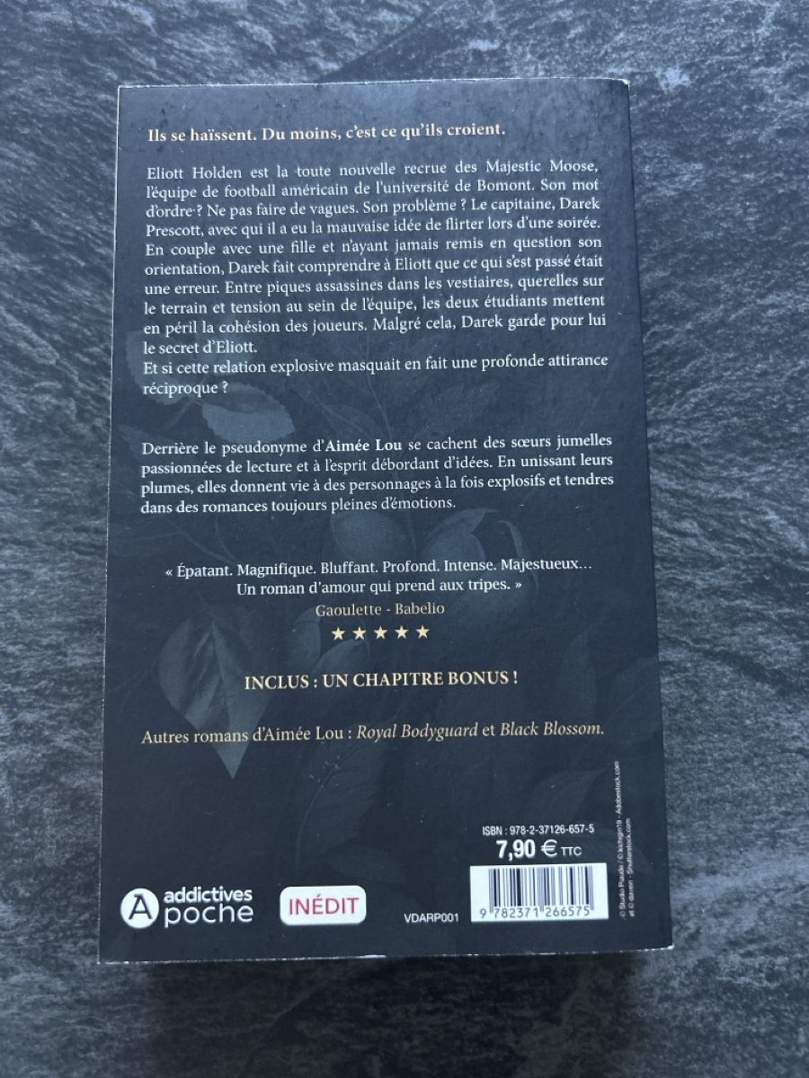 Libri: Esprit d'équipe - Aimée Lou  – Nuovo (secondo la descrizione) da Villeneuve VD venduto da ver_29jv 1