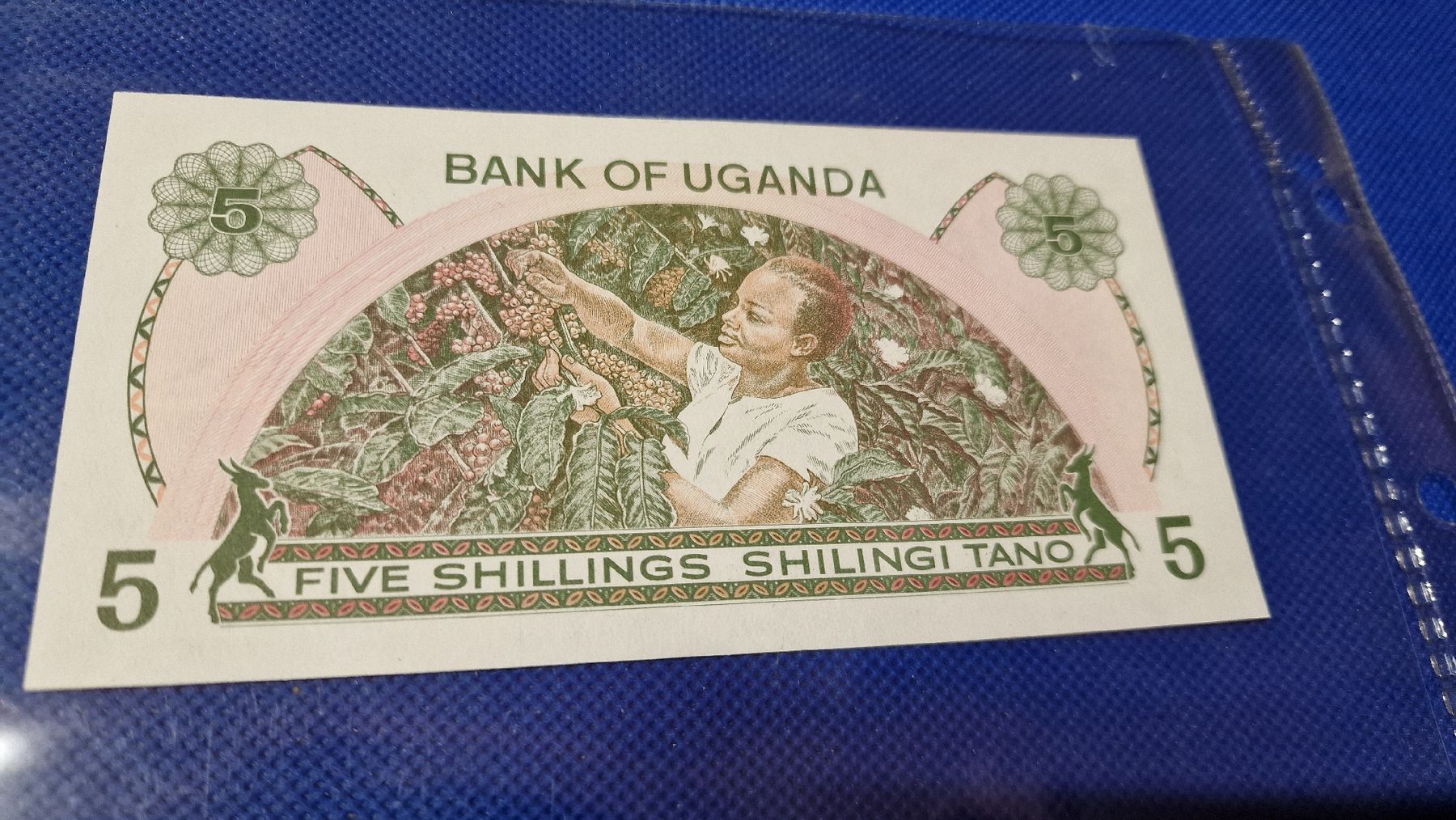 Banconote: Banknote Uganda 1982 NEU – Nuovo e nell'imballaggio originale da Herisau venduto da Antiques.AR 1