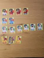 Panini world cup 2026