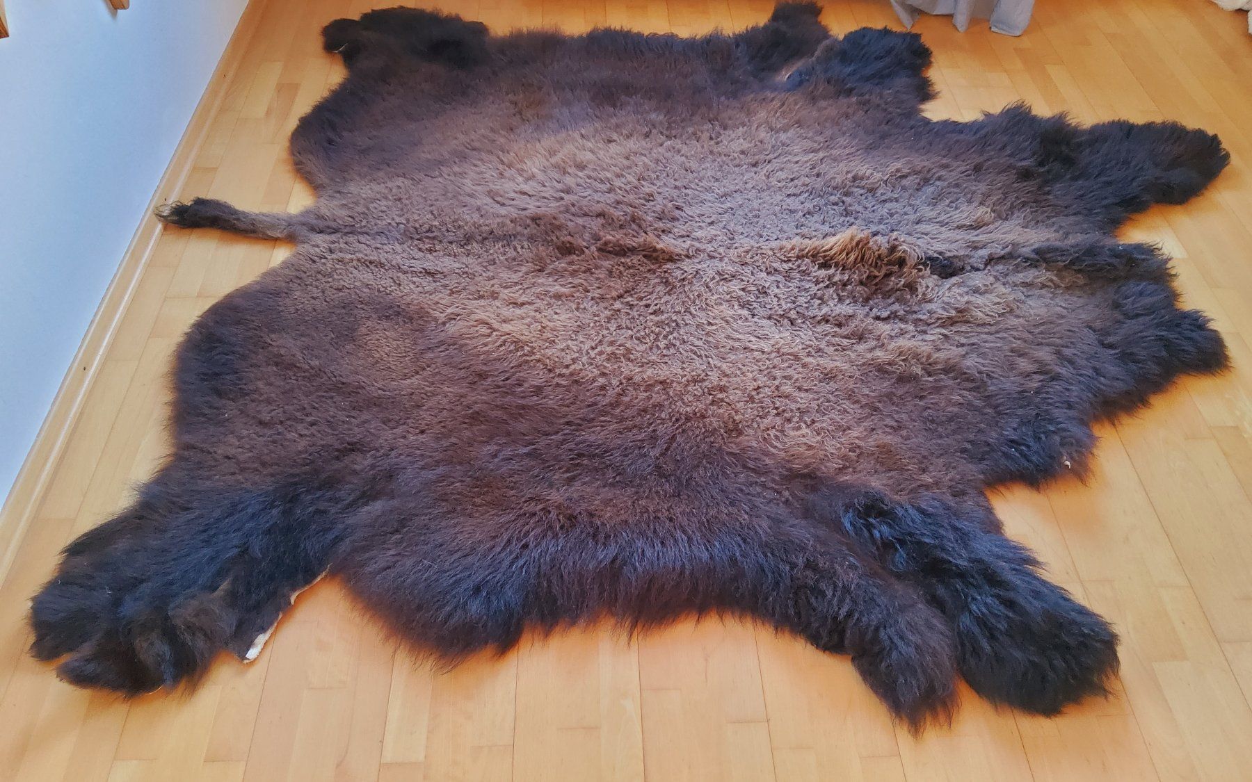 Il mondo degli animali: Bisonfell (Echt) – Nuovo (secondo la descrizione) da Ruggell venduto da Tim-Werk 7