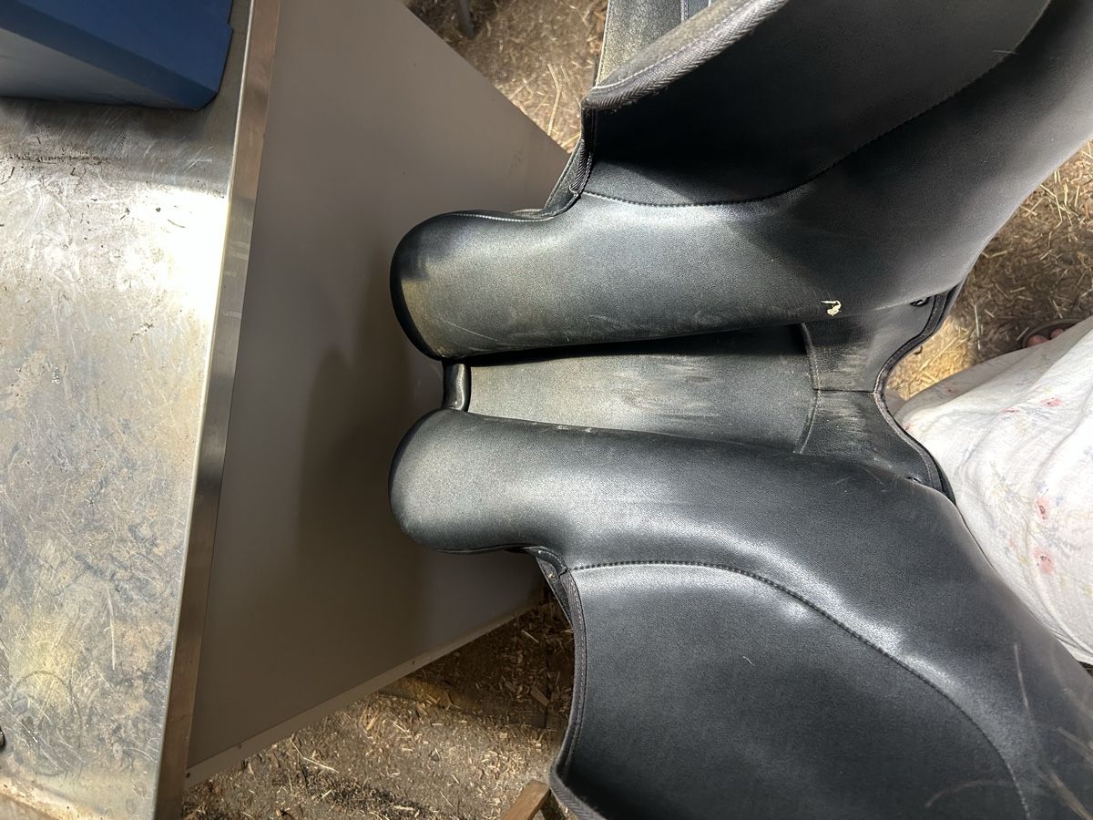 Selles, accessoires: Wintec VS  – D'occasion à Thörigen par jojo.258 5