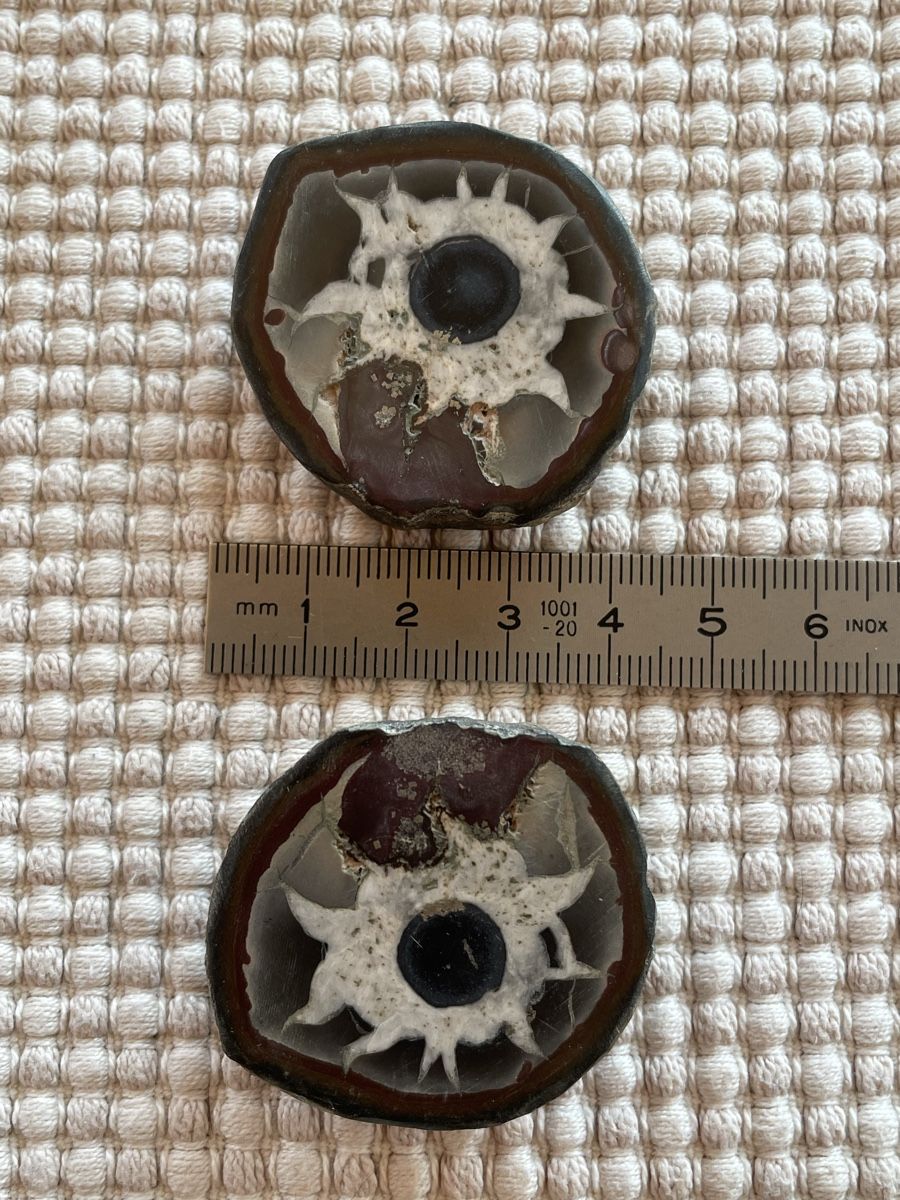 Minerali & Pietre curative: Septarie Heilstein – Usato da Rümlang venduto da resale35