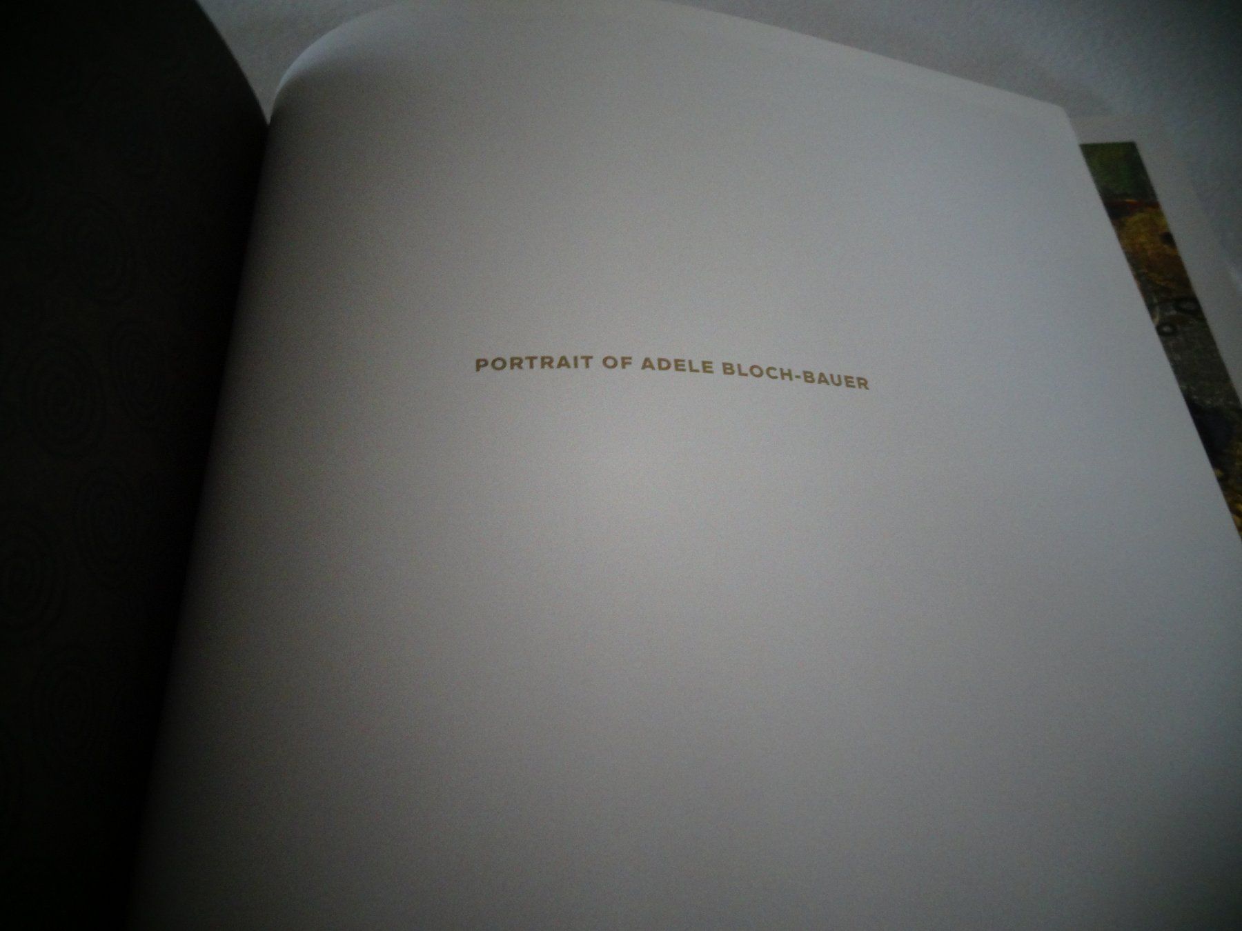 Bücher: Portrait of Adele Bloch-Bauer – Gebraucht aus Neerach von jenny062 2