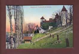 RAPPERSWIL - Hirschpark mit Schloss - 1913