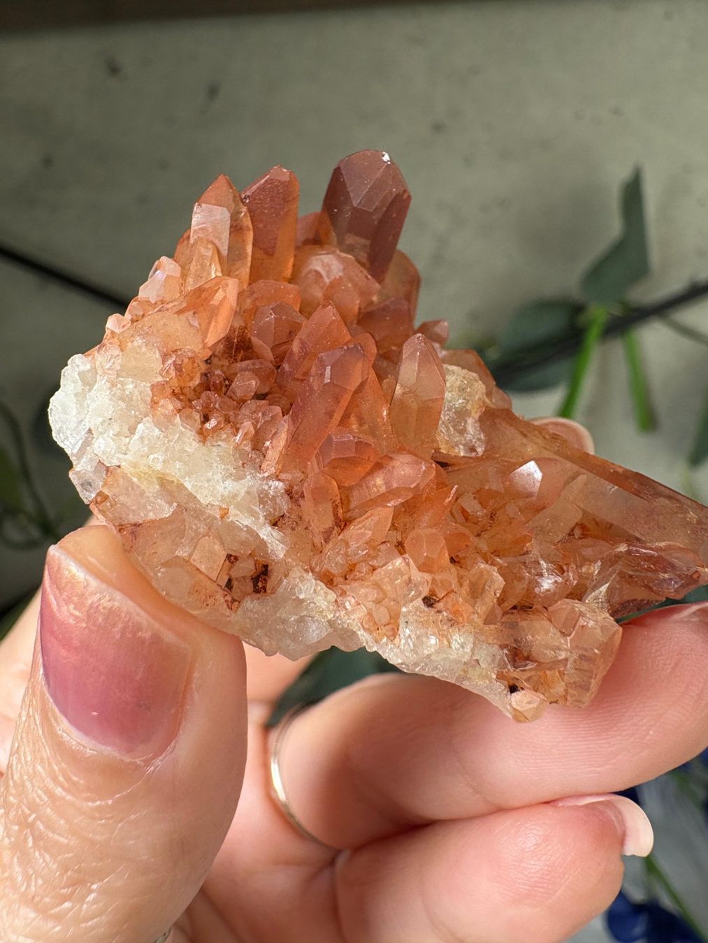 Minerali & Pietre curative: Tangerine Quarz-Cluster – Nuovo (secondo la descrizione) da Neuheim venduto da m.hald 5