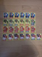 PANINI WM 26 GRUPPE C