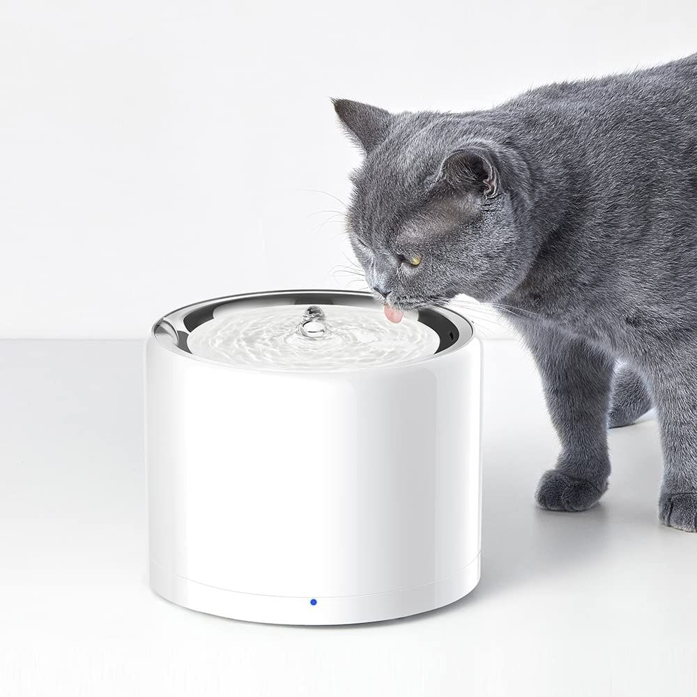 Etangs & Fontaines déco.: Petkit Eversweet 3 – D'occasion à Bulle par Christophe1080