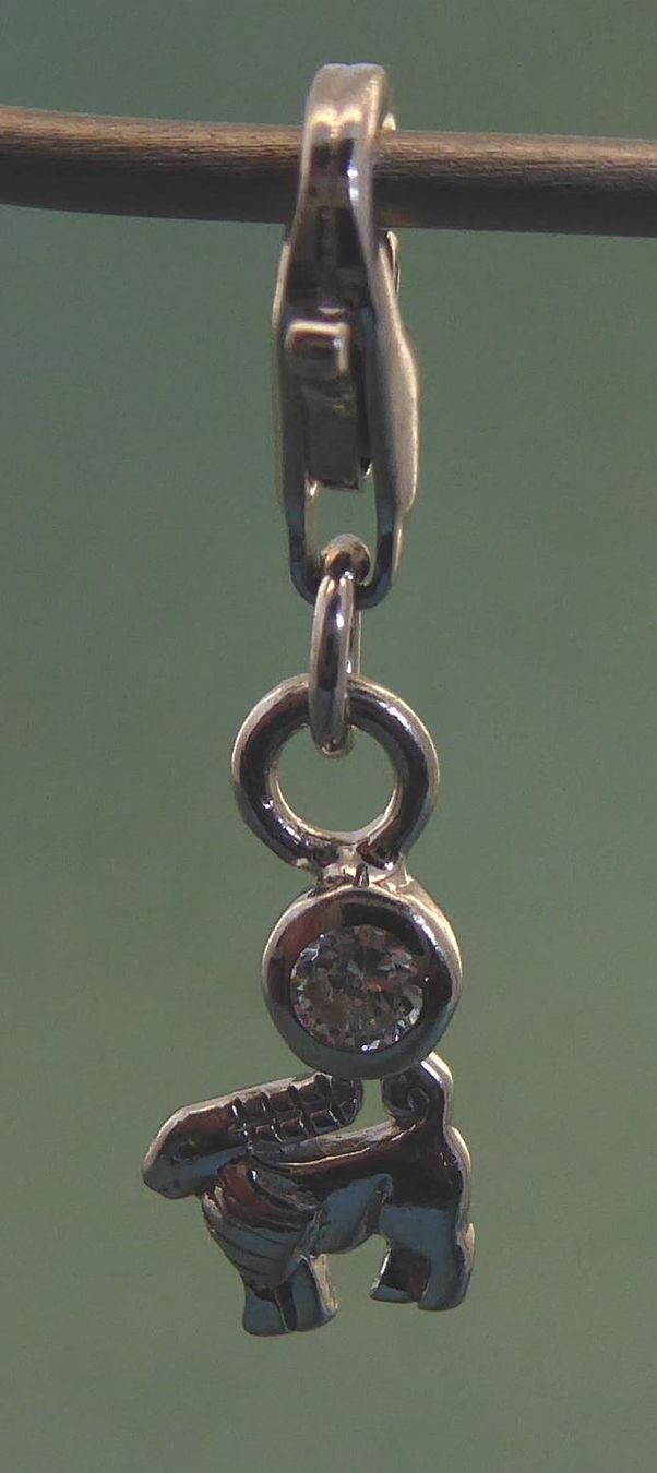 Ciondoli: Anhänger Sternzeichen Steinbock 925 Silber – Usato da Muri AG venduto da silvermouse007