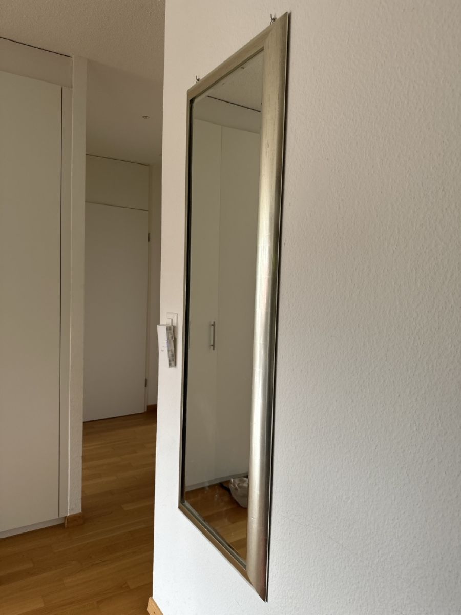 Specchi: Spiegel 50*140cm – Usato da Zürich venduto da jul_7rv5 1