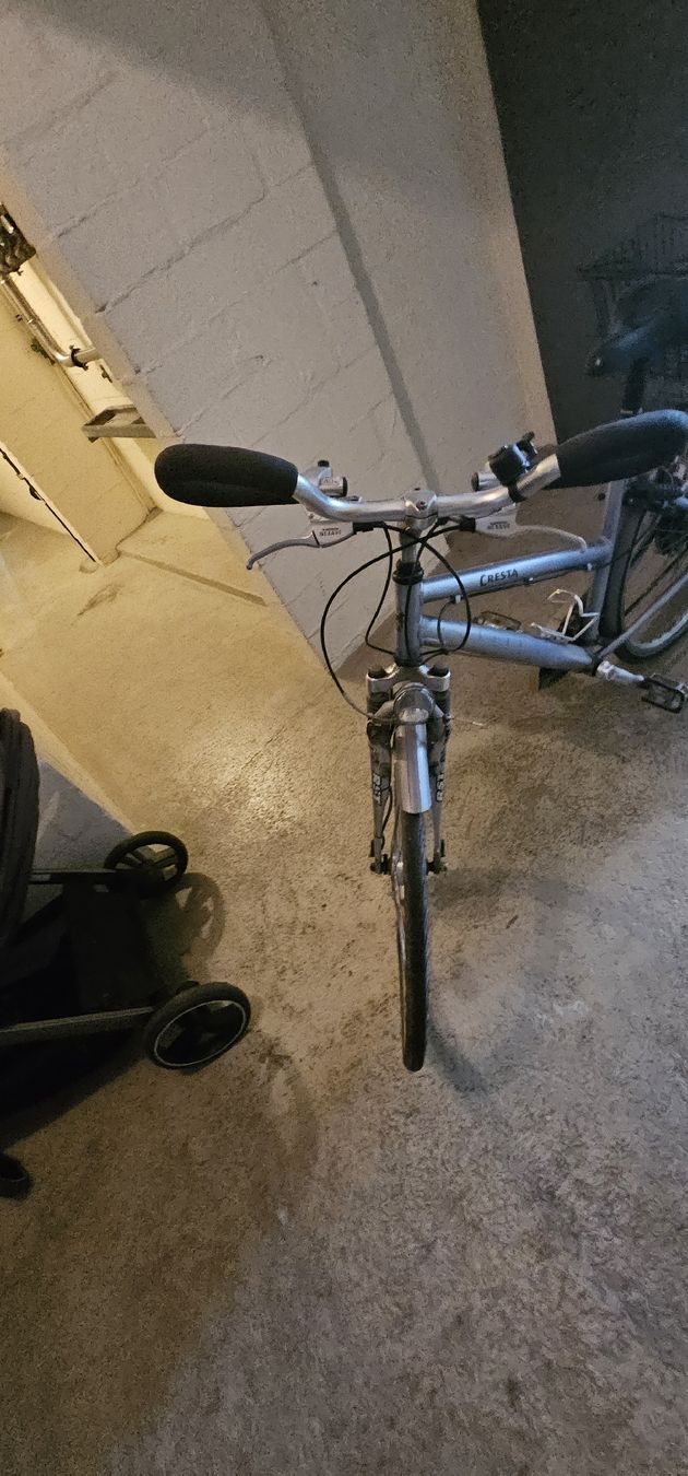 Biciclette: Cresta Damenvelo Stadtvelo mit Korb – Usato da Baden venduto da Khitsch 2