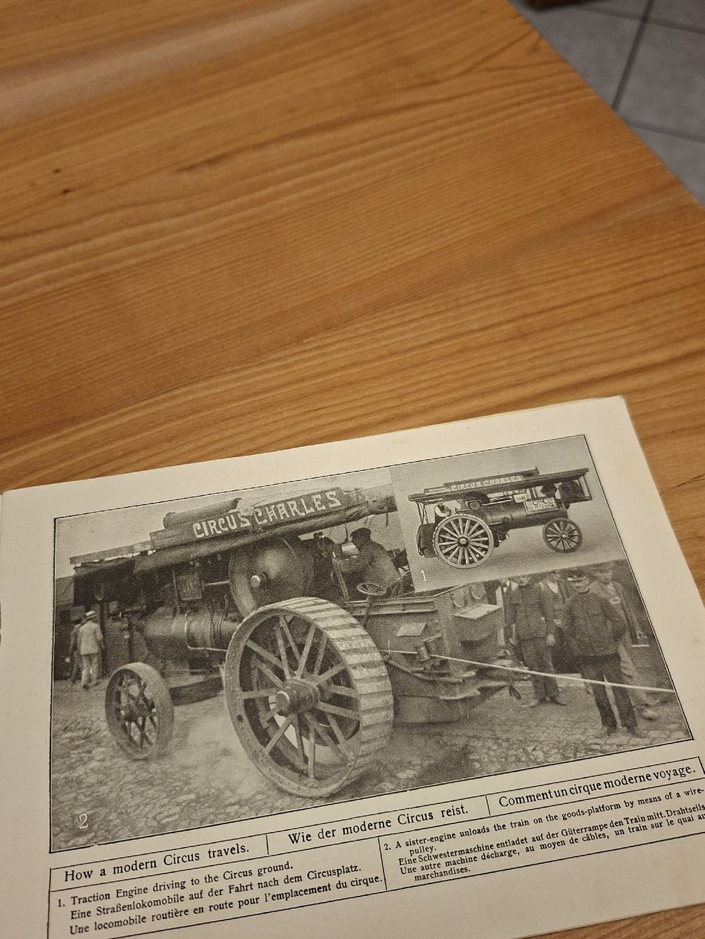 Documenti: Prospekt Cirkus Krone früher Charles 1901 – Usato da Ganterschwil venduto da HeidiuPeter 9