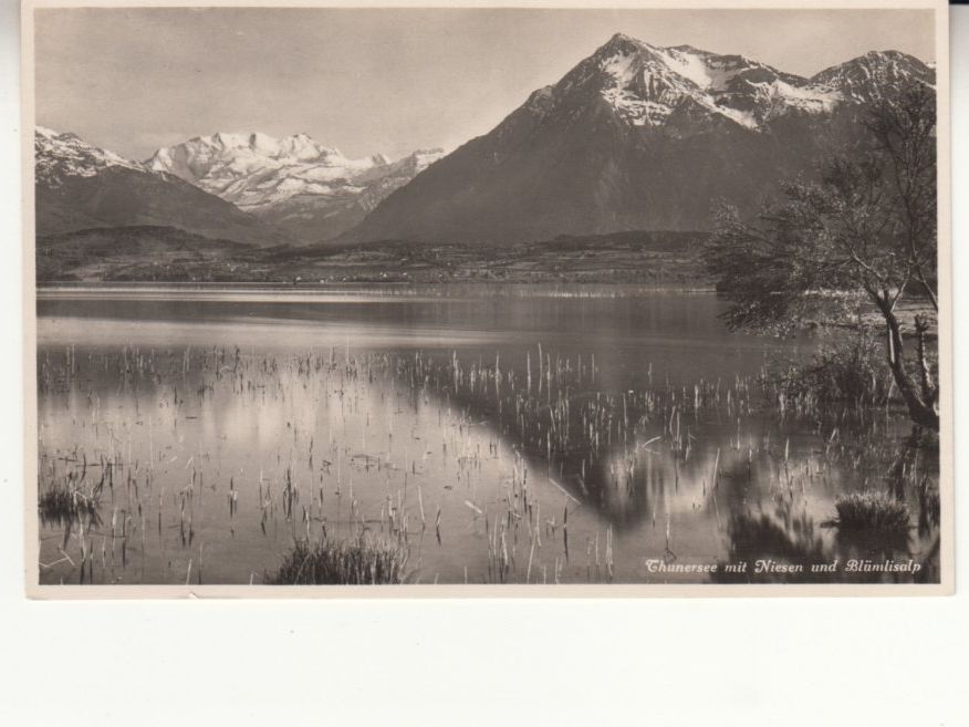 Cartoline postali: Thunersee ca. 1940 – Usato da Bürglen TG venduto da StampGraf