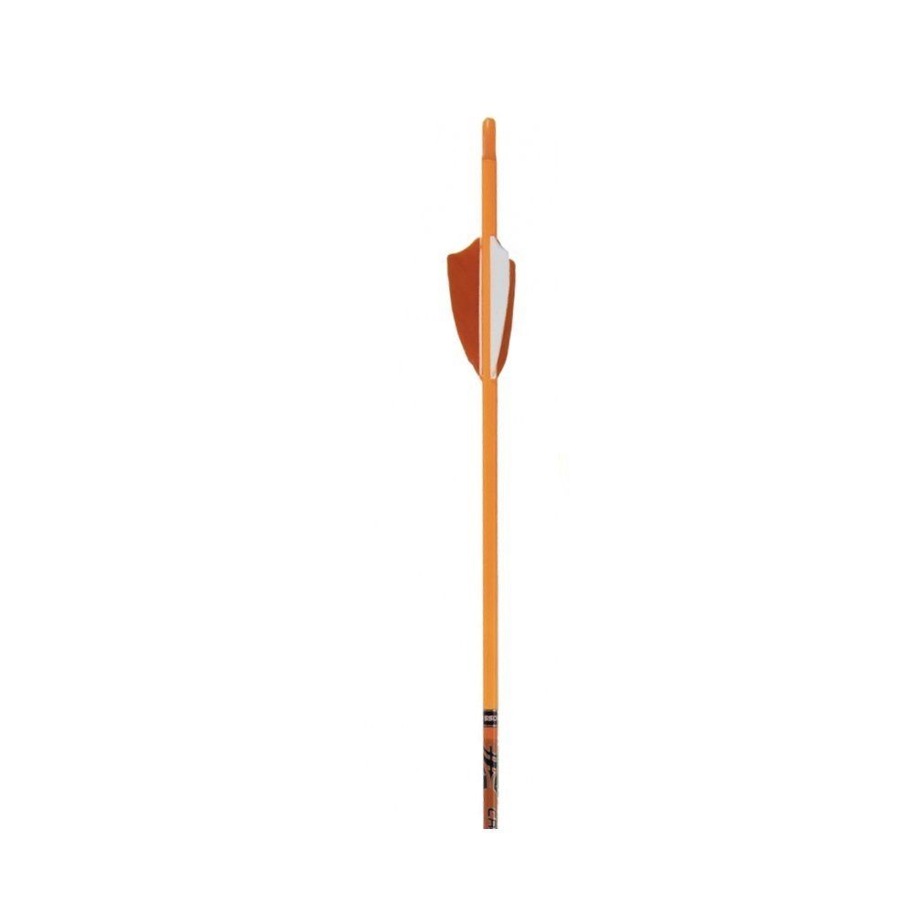 Tiro con l'arco: 12 Carbon Pfeile Cross-X Iridium Orange – Nuovo e nell'imballaggio originale da Bätterkinden venduto da RA_Bogensport 1