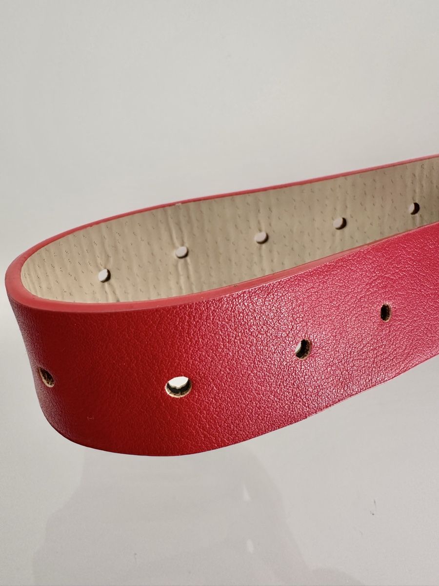 Steve Madden Borse: Steve Madden Gürteltasche in Rot – Usato da Bern venduto da Fraeuleinhonig 3