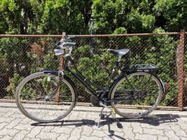 Oldie / Damenvelo - City Bike